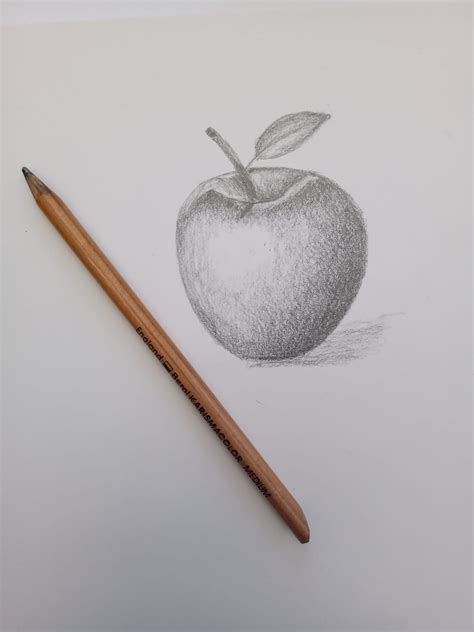 Apple Sketch By Lp Apple Sketch Berol Drawings