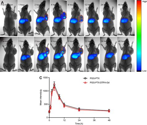 In Vivo Fluorescent Imaging Of NCI H460 Bearing Nude Mice N 3 After