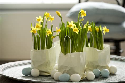 Crocus Bulbs Daffodil Bulbs Bulb Flowers Spring Centerpiece Easter