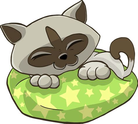 Kitten Sleeping On Starry Pillow Clipart Free Download Transparent