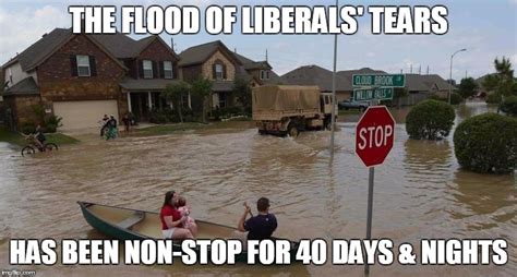 Flooding Memes Imgflip