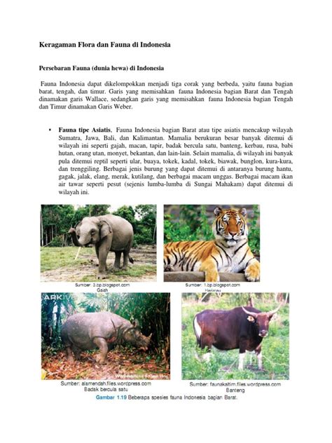 Fauna indonesia wilayah indonesia memiliki kekayaan fauna yang sangat beragam. Keragaman Flora Dan Fauna Di Indonesia