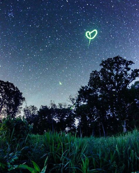 Beautiful Long Exposures Of Firefly Trails By Vincent Brady My Modern