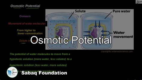 Osmotic Potential Biology Lecture Sabaqpk Youtube