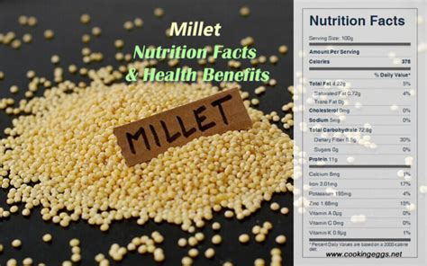 Millet Nutrition Facts And Health Benefits Cookingeggs