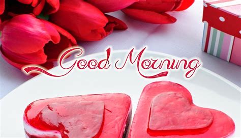 Exclusive good morning messages will brighten up her day and ensure that you're always on her mind. Romantic Good Morning Messages For Girlfriend | Best ...