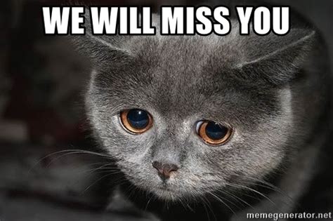 I miss you so much that i'll rather hold you now than hold a million dollars. We will miss you - Sadcat | Meme Generator