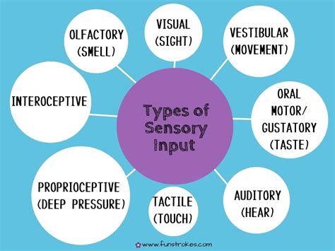 Types Of Sensory Input