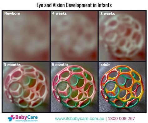 Ils Baby Care Baby Vision Baby Development Baby Care