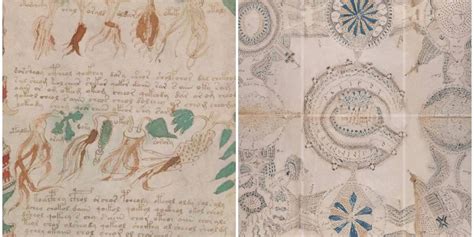 El Manuscrito Voynich Está Escrito En Un Lenguaje Desconocido Que No Ha