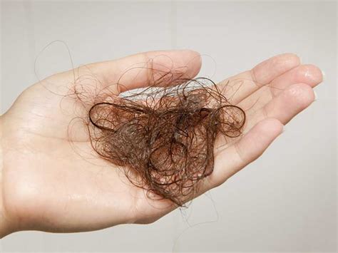 If there are more than six in your hand, something could be amiss. How Much Hair Loss Is Normal? Be Cautious! | Laylahair