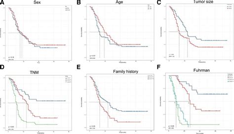 Effect Of Related Characteristics On The Overall Survival Of Ccrcc A