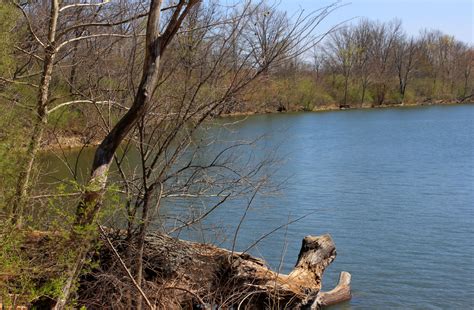 Lakeshore landscape at Sangchris Lake State Park, Illinois image - Free