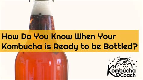 how do you know when your kombucha is ready to be bottled