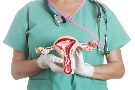 Hysterectomy Uses Methods And Recovery