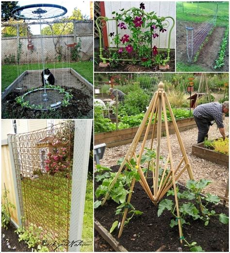 Recycled Trellis Ideas For Your Garden