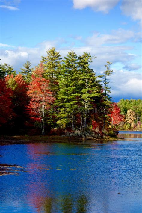 Autumn Leaves Trees Lake Reflection Stock Image Image Of