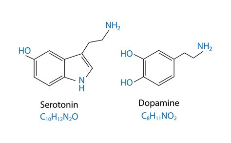 Serotonin And Dopamine Chemical Structure Skeletal Chemical Formula