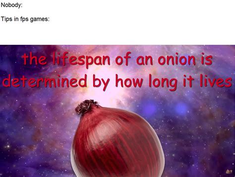 The Best Onion Memes Memedroid