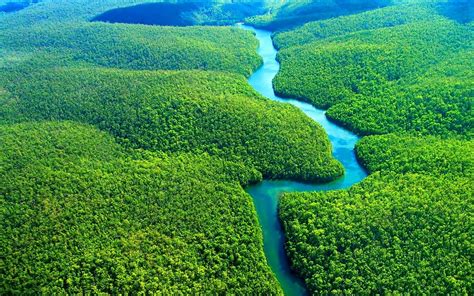 Amazon River Wallpapers Wallpaper Cave
