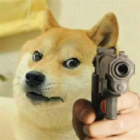 Download previous hand holding gun meme for free. Doge pointing gun meme - Dog meme - Meme