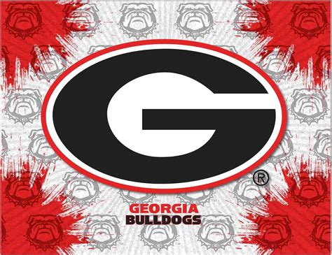 Georgia Bulldogs Hbs Gray Red G Logo Wall Canvas Art Picture Print
