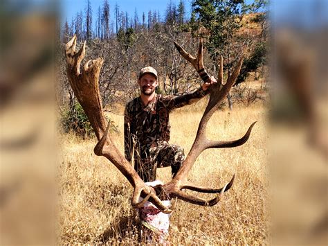 Oregon Bowhunter Arrows State Record Roosevelt Bull Outdoor Life