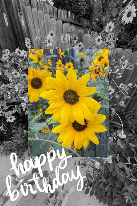 🌻 Sunflower Happy Birthday Video Happy Birthday Sister Happy