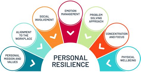 Personal Resiliency Builder Resilience Emotions Online Assessments