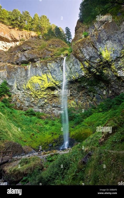 Elowah Falls In Summer On The Oregon Side Of The Columbia River Gorge