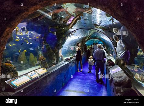 Sea Life Aquarium In Der Mall Of America In Bloomington Minneapolis