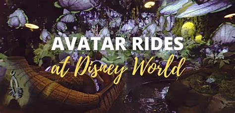 How Many Avatar Rides At Animal Kingdom Disney World Pandora Guide