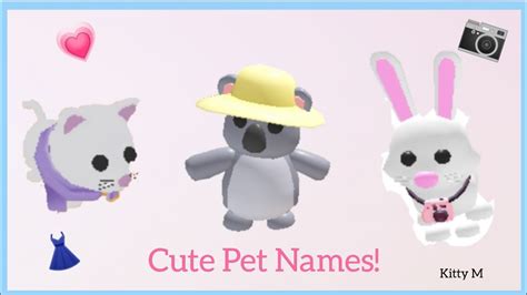 Cute Pet Names For Your Pet 🎀 In Adopt Me Roblox Youtube