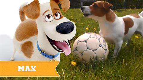 The Secret Life Of Pets Real Life All Characters Youtube