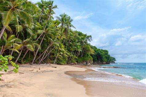 Best Places To Live In Costa Rica For Expats International Citizens