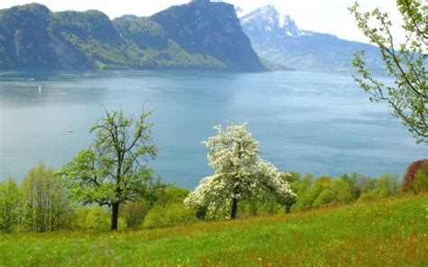 Lake Between Green Trees Covered Mountains And Green Grass Slope Hd