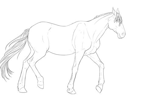 Comment dessiner un cheval | Art drawings sketches simple, Art drawings