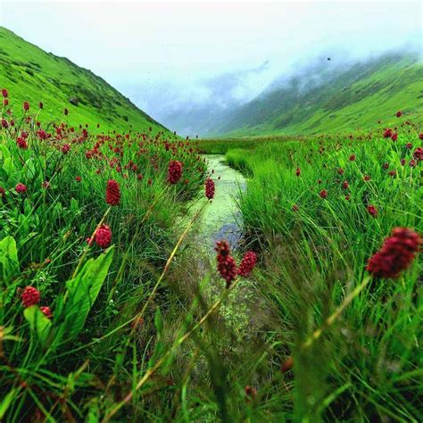 Valley Of Flowers Trek Mount