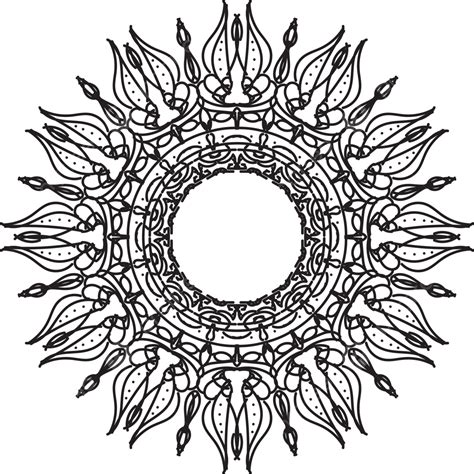 Mandala Natural Design Vector Mandala Drawing Mandala Sketch Vector