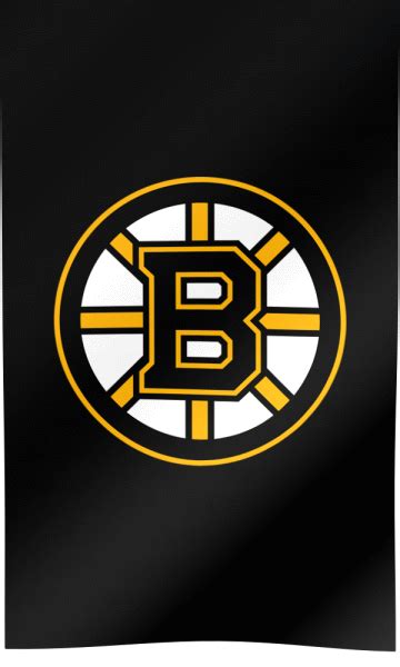 Boston Bruins Fan Flag  All Waving Flags