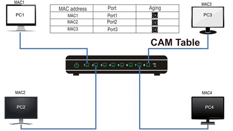 The Cam Table Or Mac Address Table