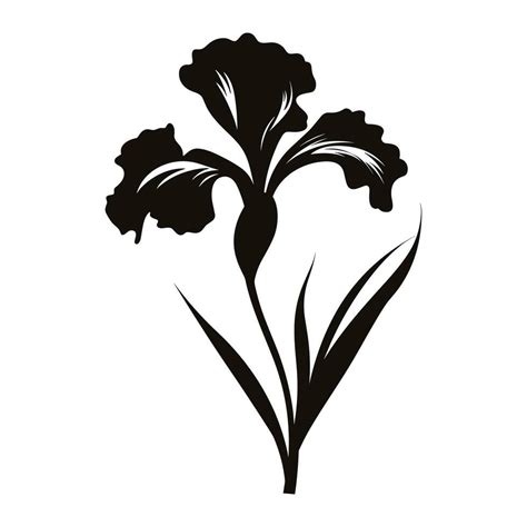 An Iris Flower Vector Silhouette Isolated On A White Background