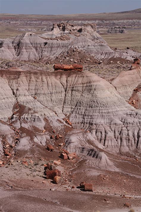 Divergent Plate Boundarypassive Continental Margins Geology U S