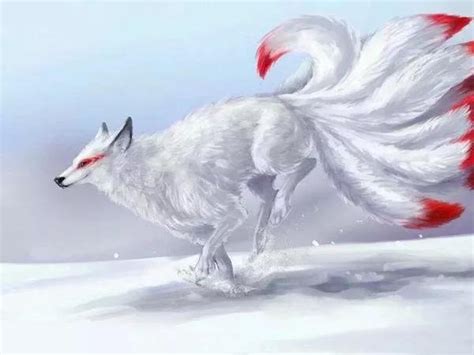 What Do You Know About The Nine Tailed Fox Quora