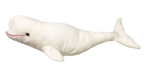 Douglas Beluga Whale Plush Toy Buy Online In South Africa
