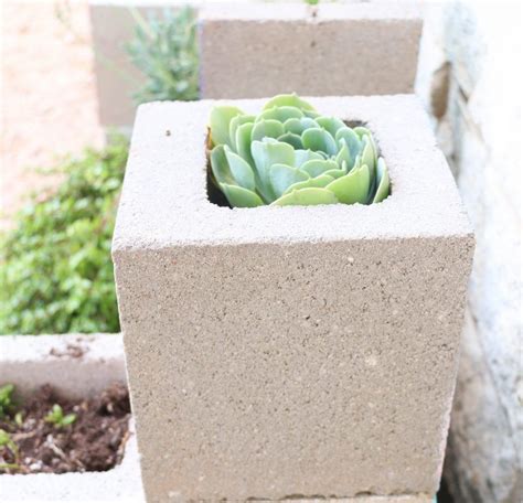 40 Creative Ways To Use Cinder Blocks Cinder Block Container Plants