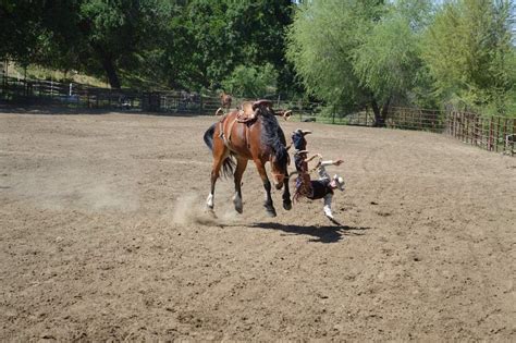 Horse Riding Injuries • Carter And Carter