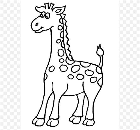 West African Giraffe Coloring Book Drawing Adult Png 574x766px West