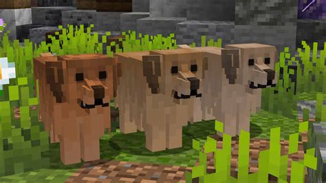 Minecraft Resource Packs 113 Realistic Animals Bxequik