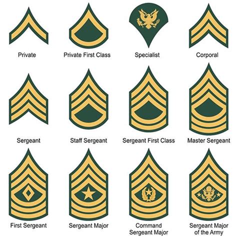 Ww2 Us Army Enlisted Rank Insignia